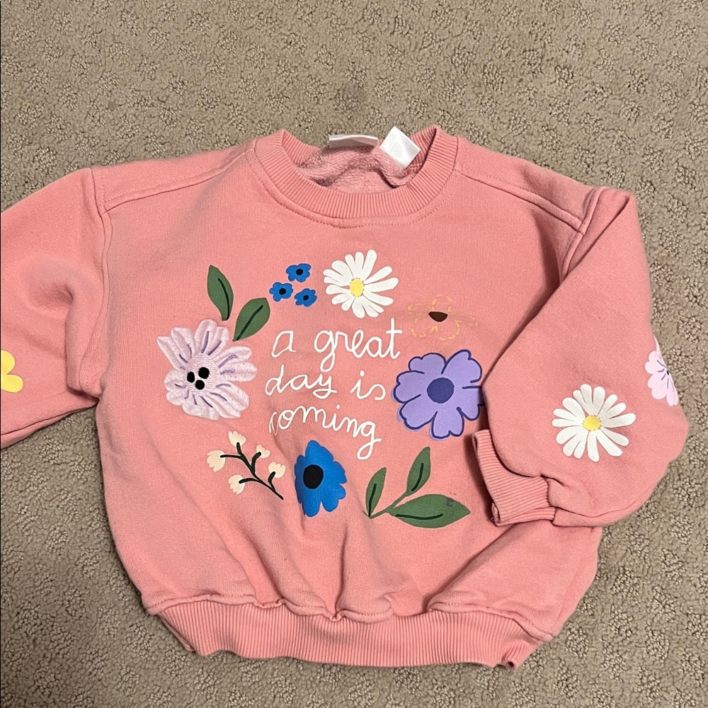 Zara sweatshirt
